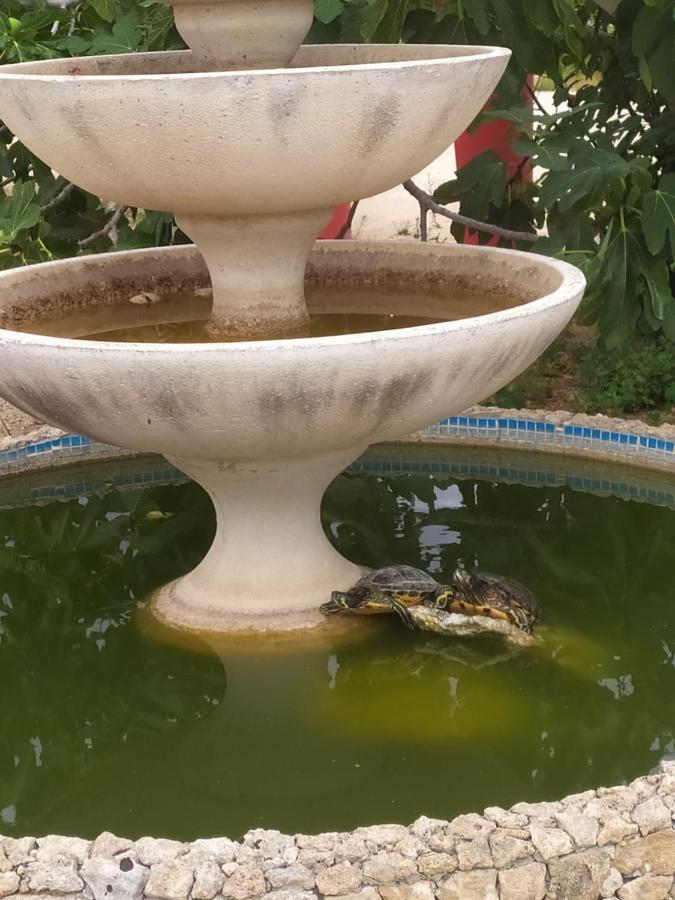 B&B La Seta Rossa Galatone Dış mekan fotoğraf